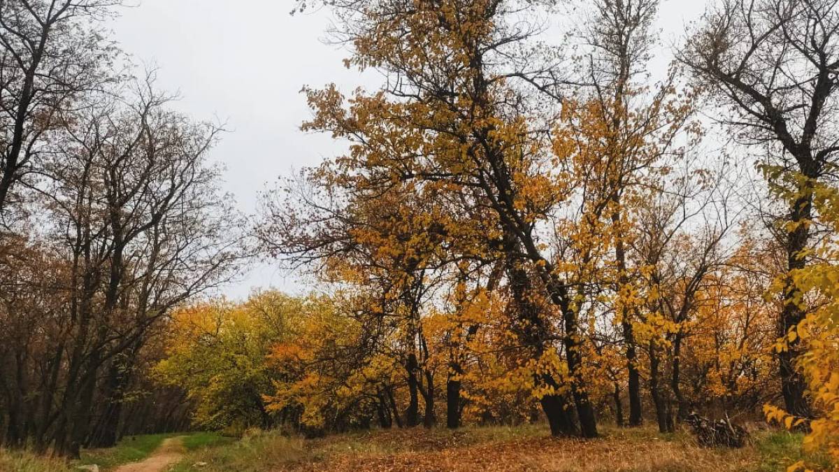 Погода на вихідні у Запоріжжі та області: прогноз синоптиків