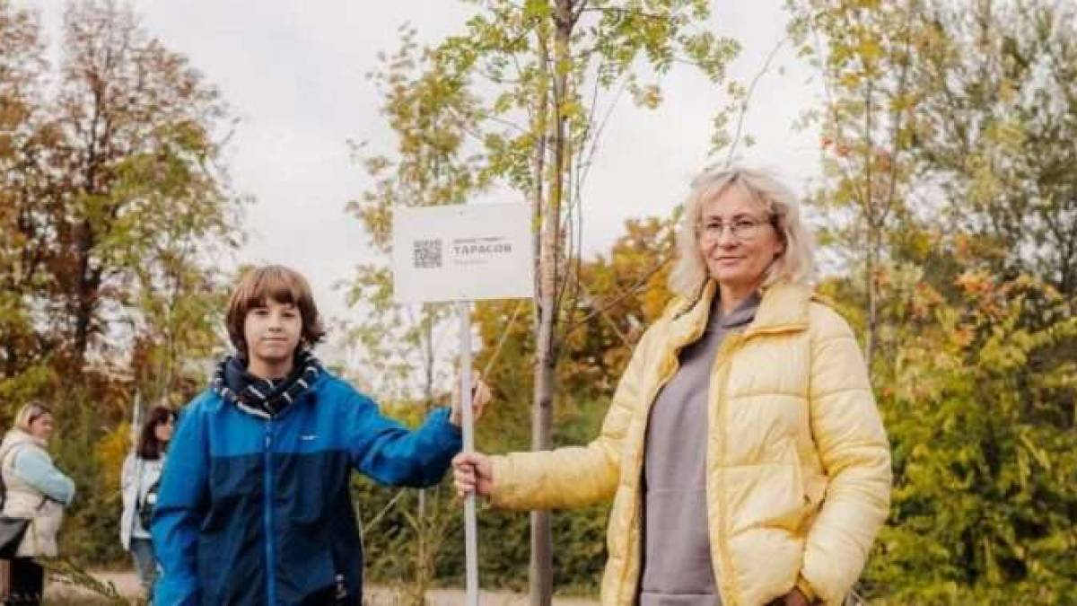 У центрі Запоріжжя вандали пошкодили Алею Спогадів — фото
