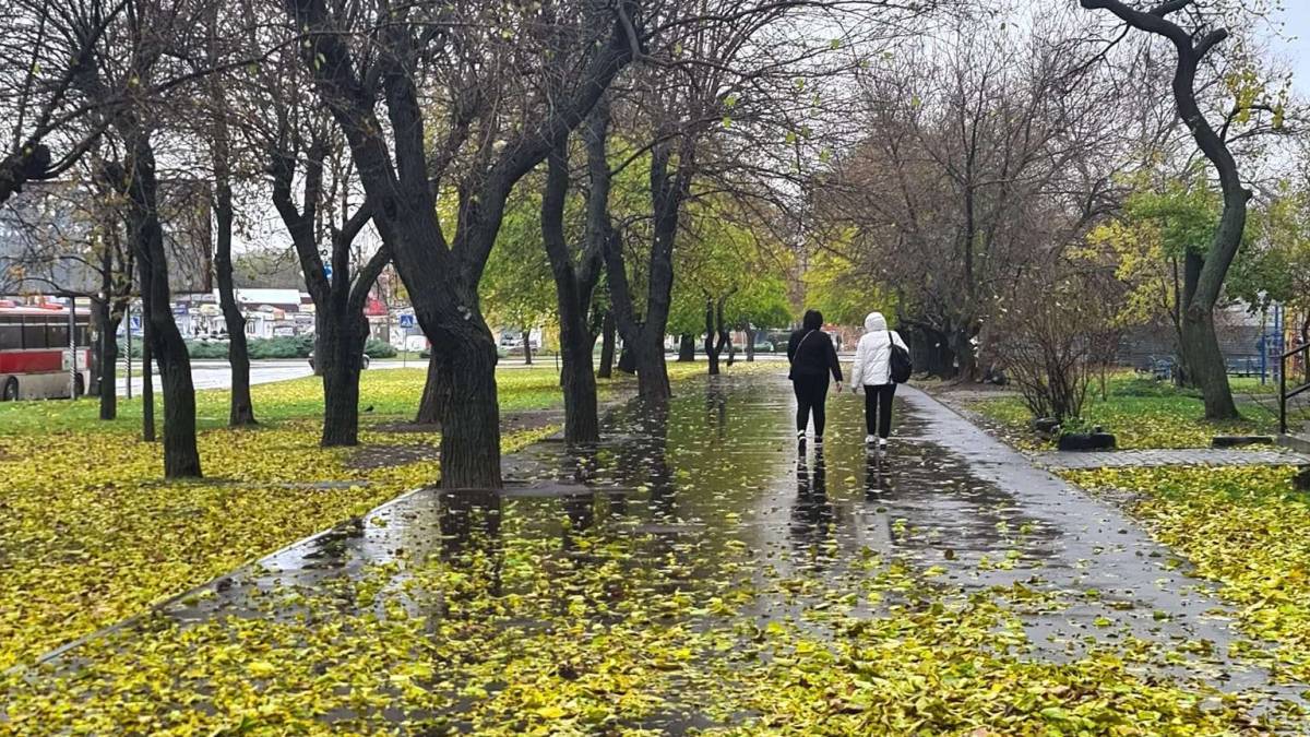 Якою буде погода на вихідні у Запоріжжі та області: прогноз синоптиків