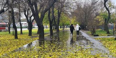 Якою буде погода на вихідні у Запоріжжі та області: прогноз синоптиків