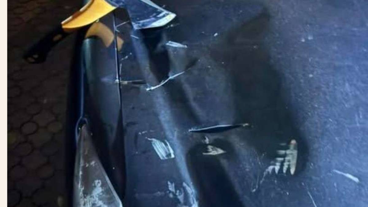 У центрі Запоріжжя невідомі сокирами пошкодили припарковане  авто адвокатки – фото