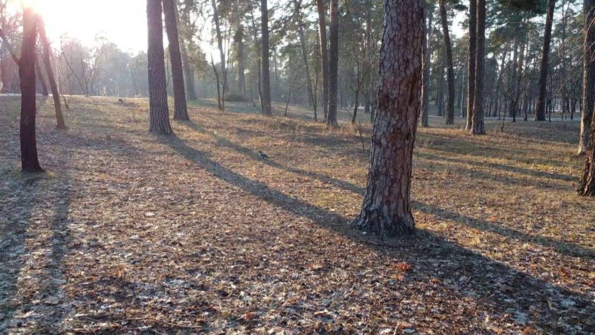 Понеділок в Україні буде переважно сухим і холодним