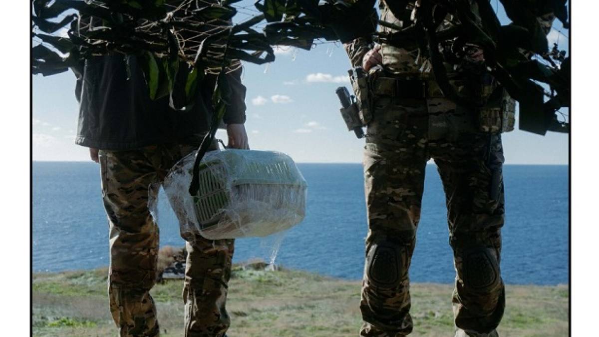 Операція «ГУР-КІТ» – розвідники провели нетипову евакуацію з острова Зміїний