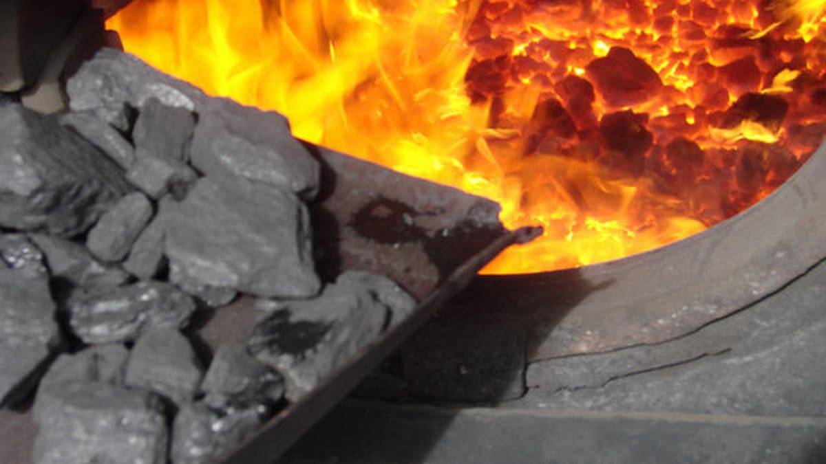 У Запорізькій області при закупівлі вугілля закладами освіти виявлено ймовірні шахрайські дії