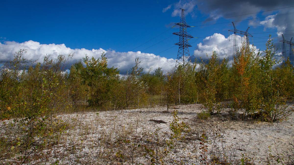 Частину Чорнобильського заповідника передадуть ДПСУ — Указ