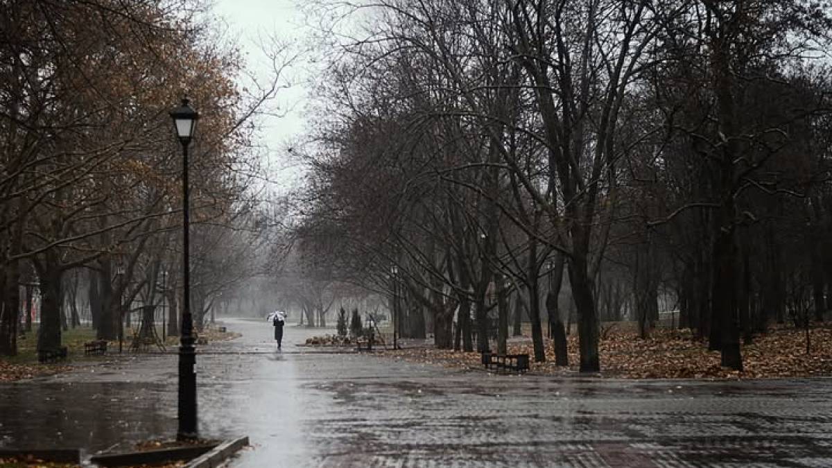 Якою буде погода в Запоріжжі в перші дні тижня – прогноз синоптиків