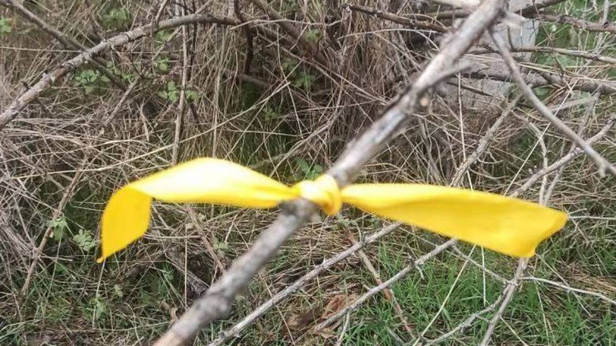 Акція спротиву на Запоріжжі: вздовж дороги Мелітополь — Бердянськ з’явилися жовті стрічки