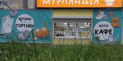 У Запоріжжі закривається перше в місті котокафе