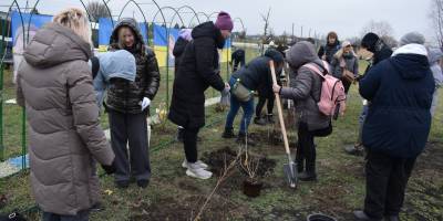 Калинова алея з’явилася біля меморіалу в Геленджику