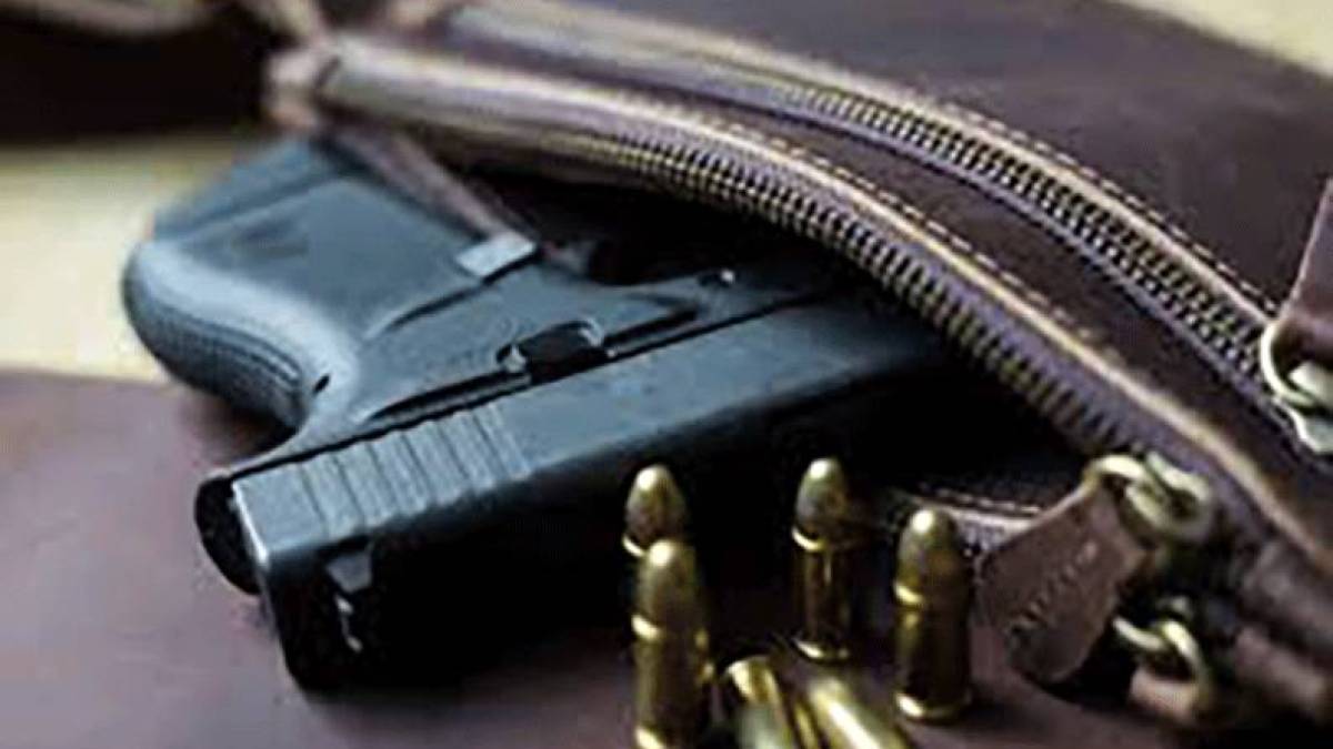 Українці задекларували вже понад тисячу одиниць зброї — МВС