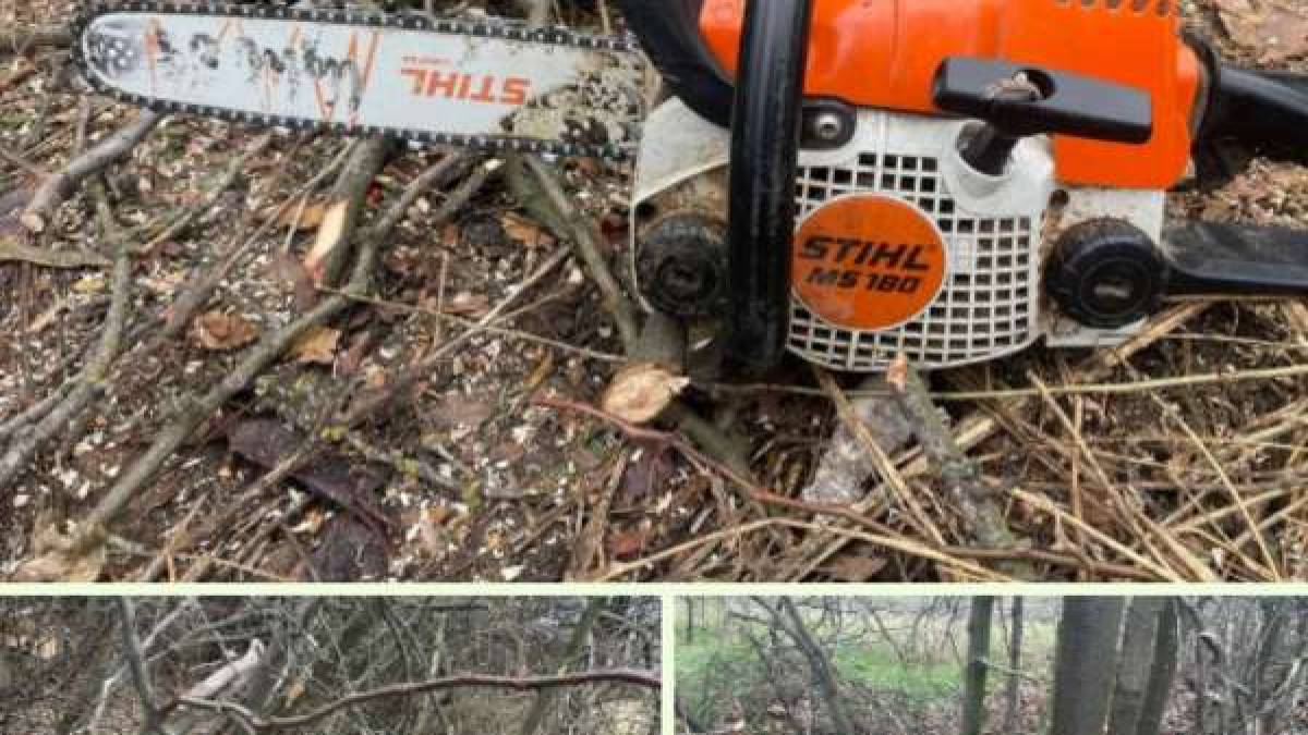 Затримано громадянина за вирубкою зелених насаджень
