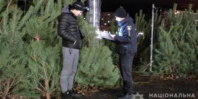 Запорізькі поліцейські перевіряють місця продажу ялинок