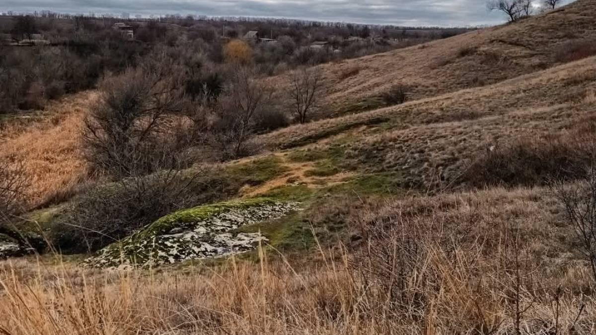 Якою буде погода на вихідні у Запоріжжі та області: прогноз синоптиків