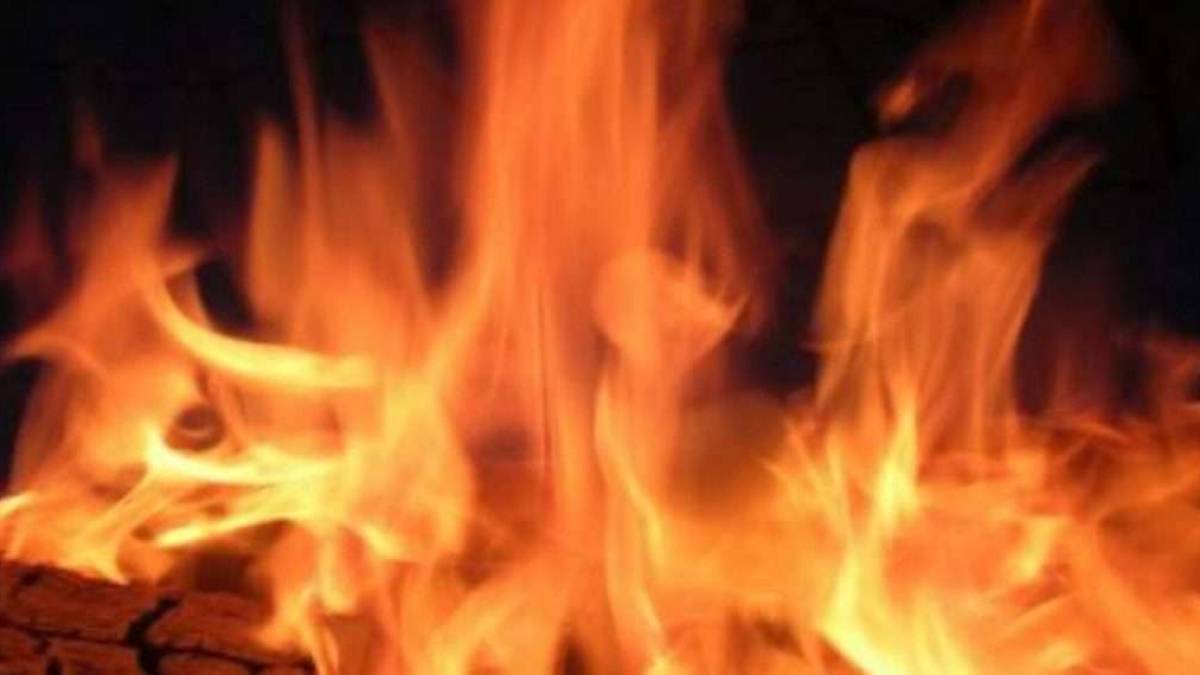 На Запоріжжі у пожежах загинули двоє пенсіонерів