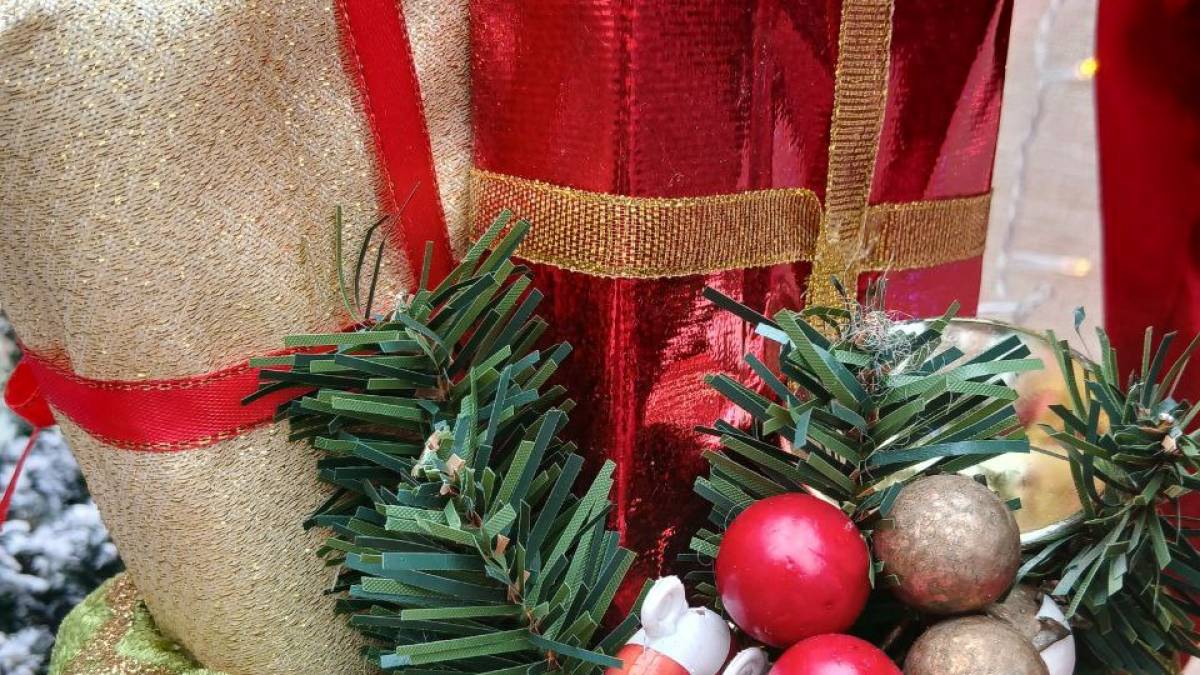 Святкова фотозона Запорізького ботанічного саду дарує радість