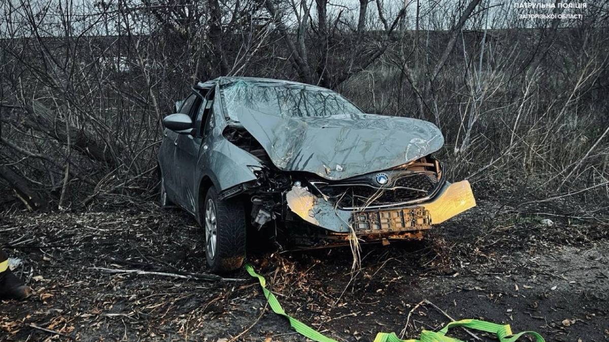 У Запоріжжі  п’яний водій врізався в дерево — фото