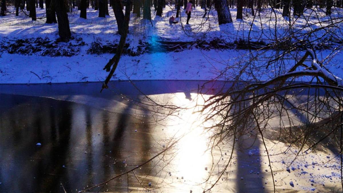 Якою буде погода в Запоріжжі на Новий рік – прогноз синоптиків
