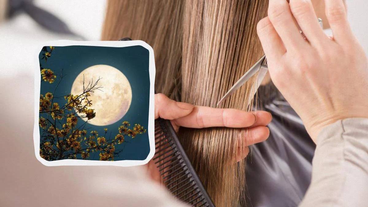 Календар стрижок на січень 2025 року: коли не варто відвідувати перукаря