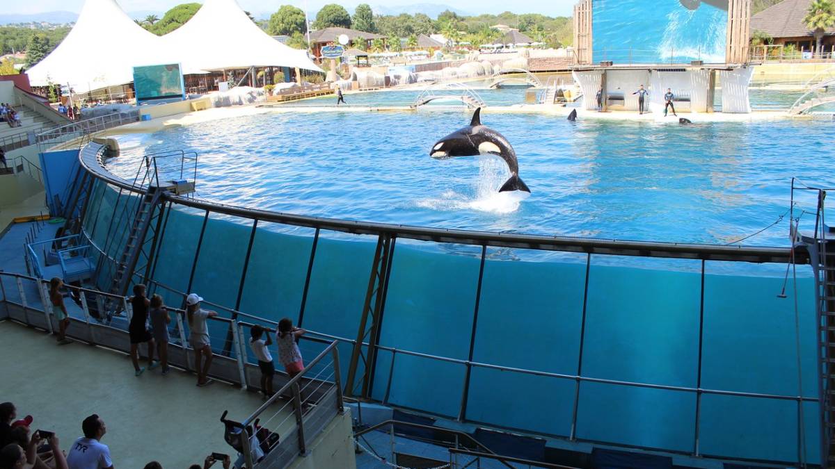 У Франції закрили легендарний морський парк Marineland