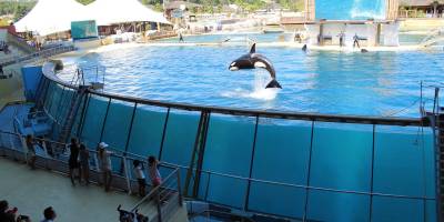 У Франції закрили легендарний морський парк Marineland