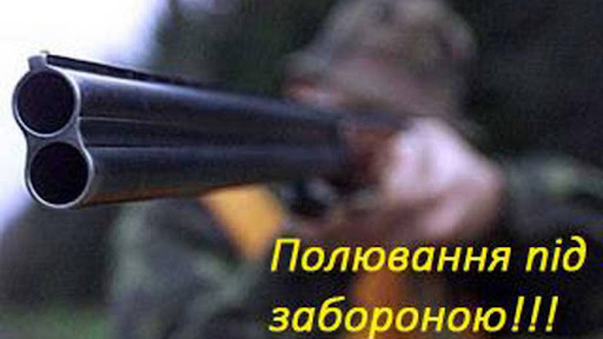Запоріжці порушують заборону на полювання
