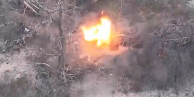 Бердянські прикордонники знищили FPV-дронами ворожі позиції (відео)