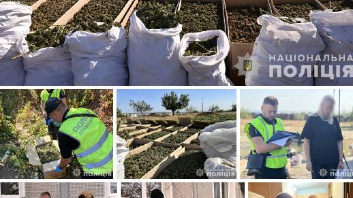 Запорізькі поліцейські задокументували майже 1200 наркозлочинів у 2024 році