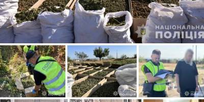 Запорізькі поліцейські задокументували майже 1200 наркозлочинів у 2024 році