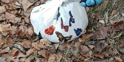 Поліція та СБУ запобігли теракту на залізниці у Дніпрі