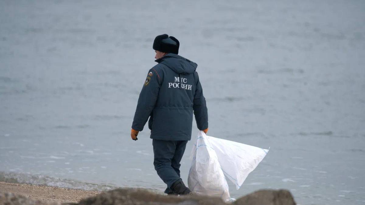 Мазут в Азовському морі: колаборанти заявляють, що у них все під контролем