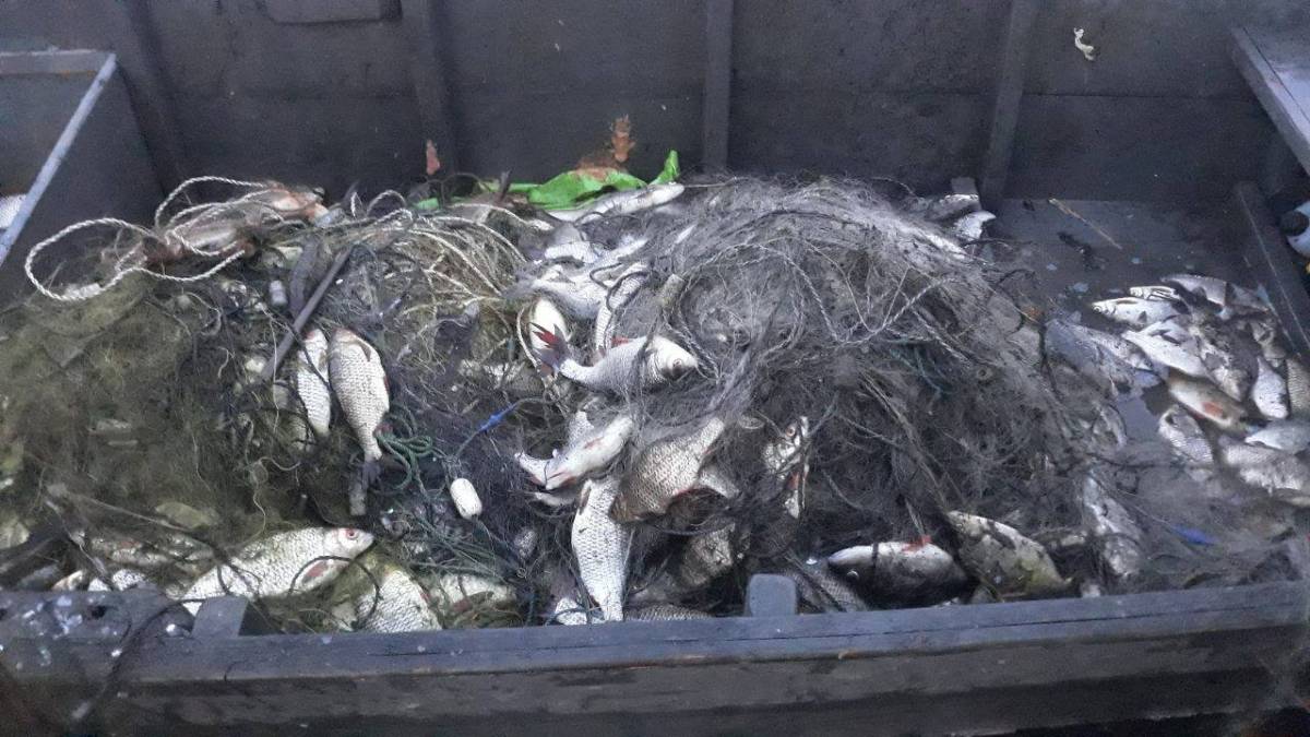 Запорізький рибоохоронний патруль вилучив з Дніпровського водосховища  600 метрів сіток