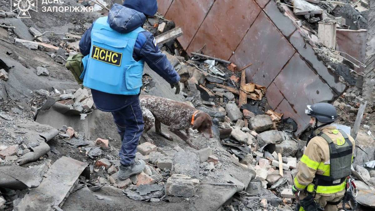 Зниклих під час обстрілу запоріжців шукають  кінологи
