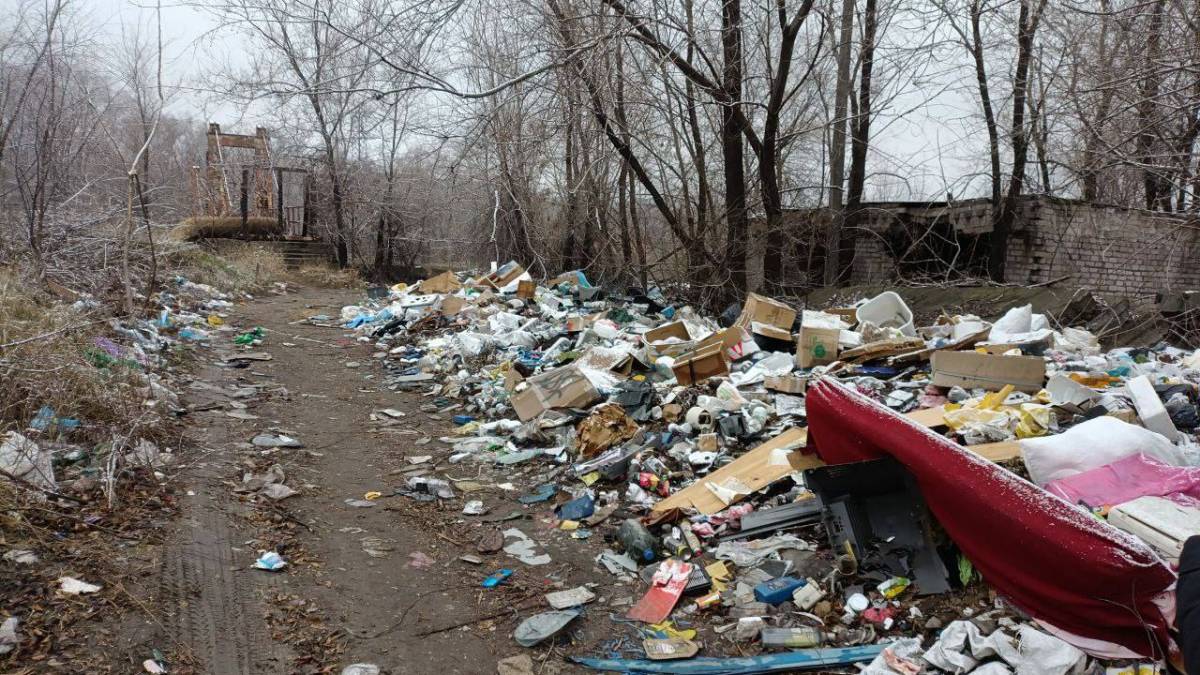 Екоінспектори виявили масштабне звалище в Запоріжжі