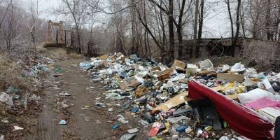 Екоінспектори виявили масштабне звалище в Запоріжжі