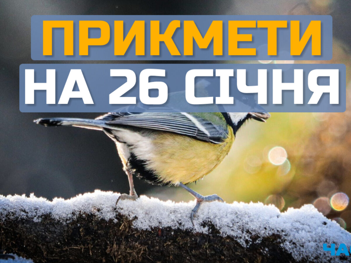 https://mig.com.ua/wp-content/uploads/2024/01/0-350.jpg