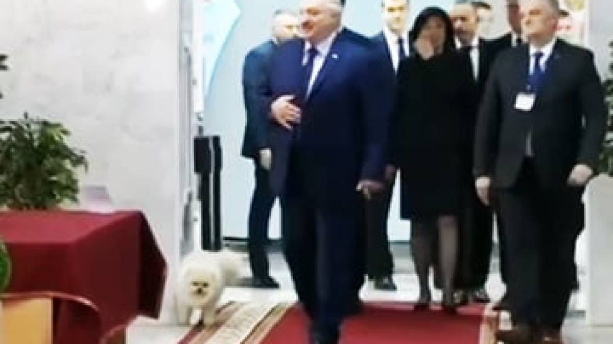 Пес Лукашенка надзюрив на дільницю, де голосував господар, і порушив закон