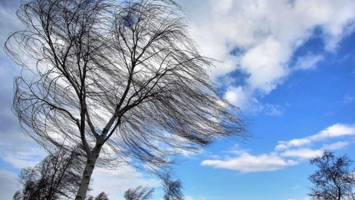 Якою буде погода в Запоріжжі в перші дні тижня – прогноз синоптиків