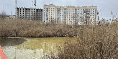 Із Південного Бугу вже відкачали 217 тонн олії