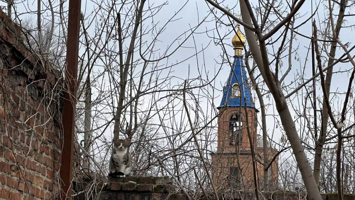 «Ваша допомога неоціненна»: рятувальники та люди Оріхова в боротьбі за життя