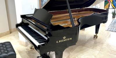 Сто фортепіано для мистецьких шкіл України передала компанія C. Bechstein