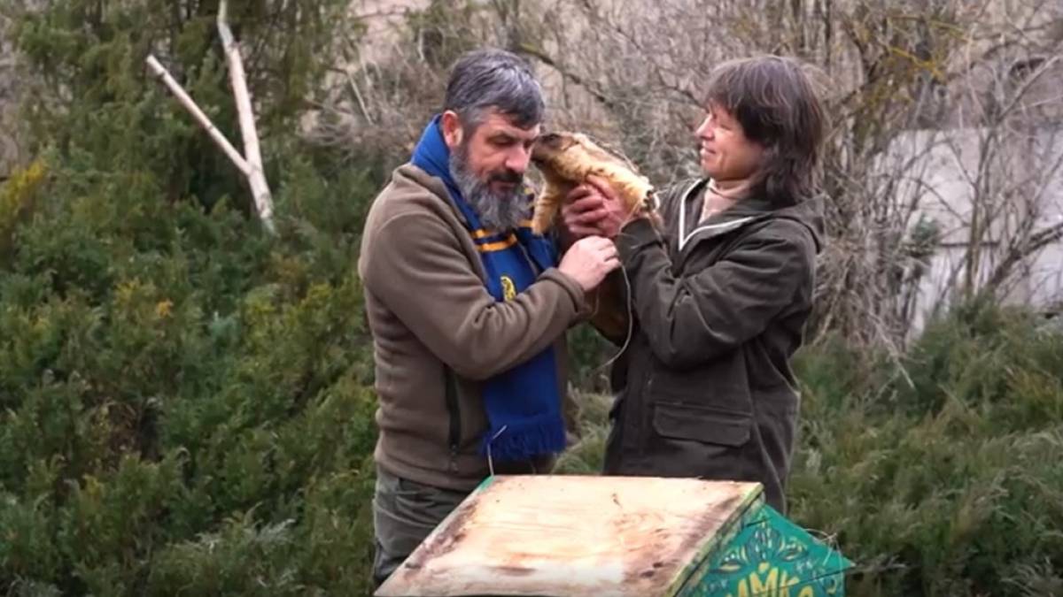 Бабак Тимко III з Харківщини «навіщував» Україні ранню весну: “Цього року нікуди і не йшла”…
