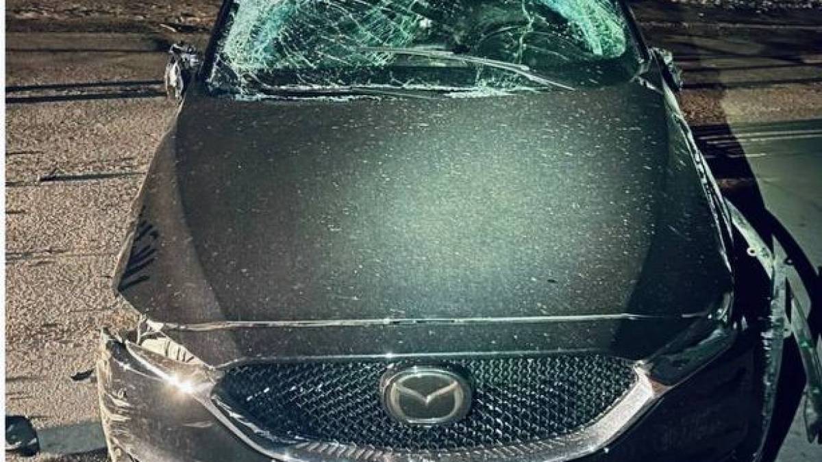 У Запоріжжі п’яний водій врізався в дерево