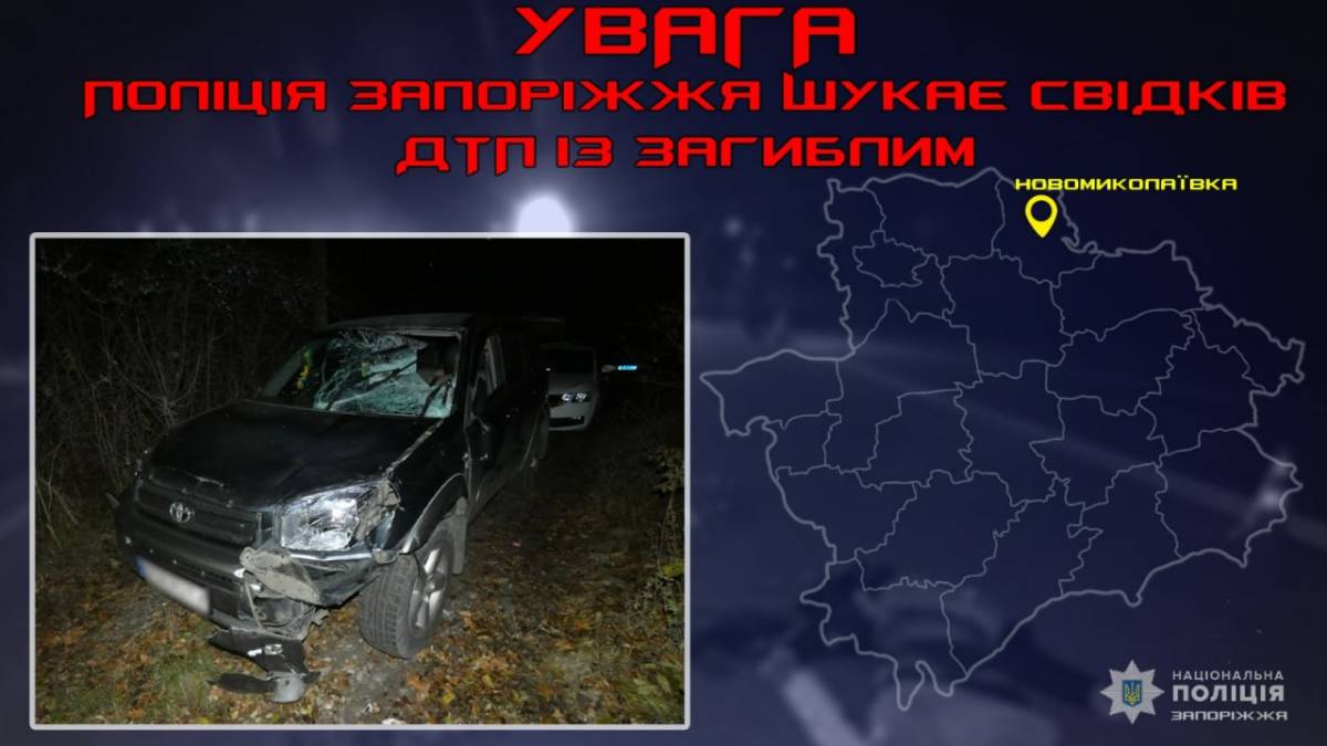 Запорізькі поліцейські розшукують свідків ДТП зі смертельними наслідками