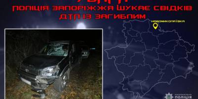 Запорізькі поліцейські розшукують свідків ДТП зі смертельними наслідками