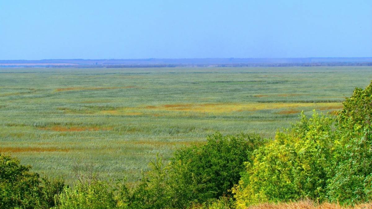 Еколог з Дніпра – про долю Великого Лугу