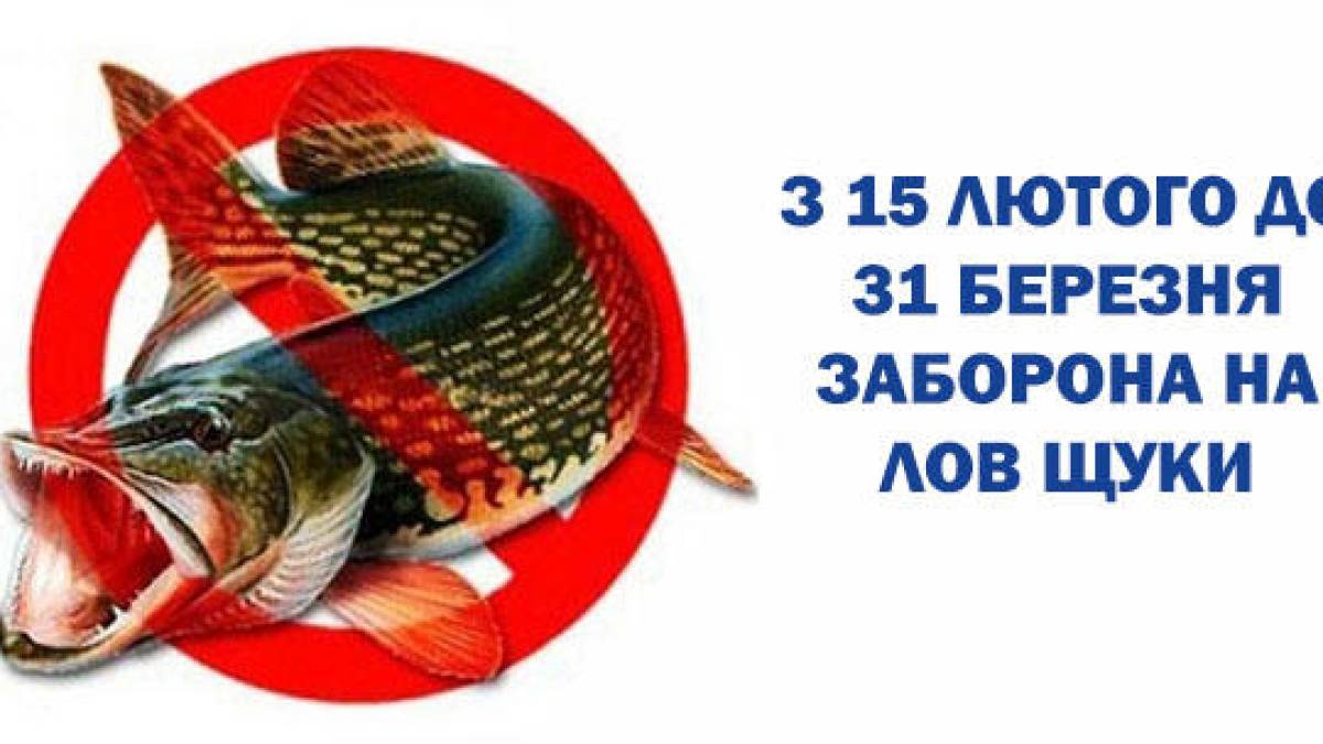 Увага! З 15 лютого – заборона на лов щуки