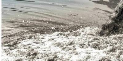 У річку Вільнянка звалювали промислові відходи