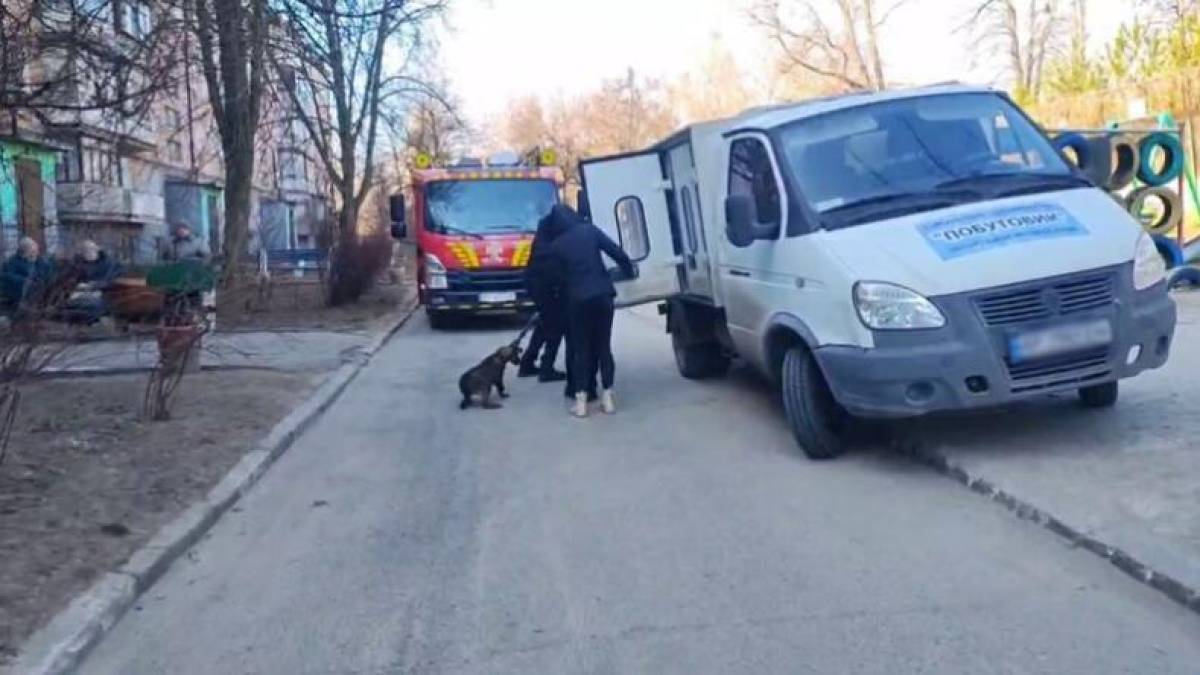 З однокімнатної квартири мешканця Запоріжжя врятували 30 собак