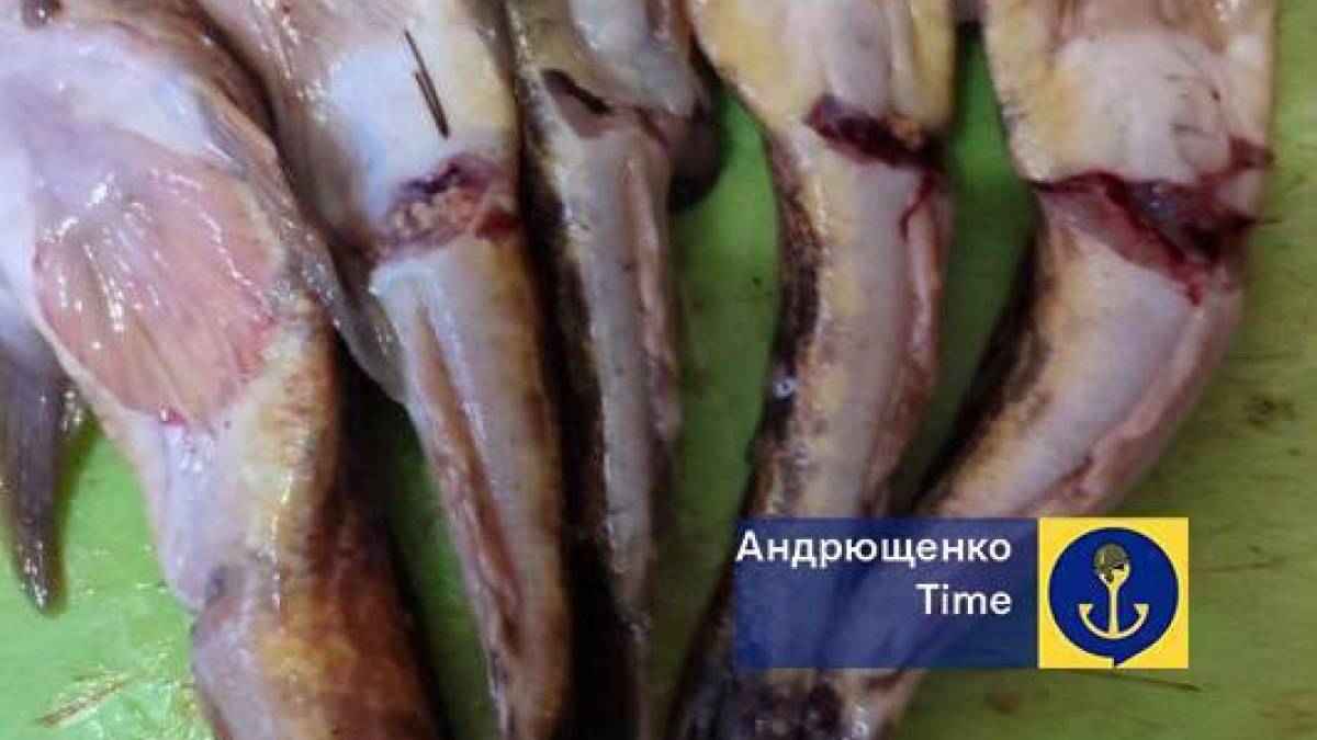 На ринках окупованих міст продається забруднена мазутом риба