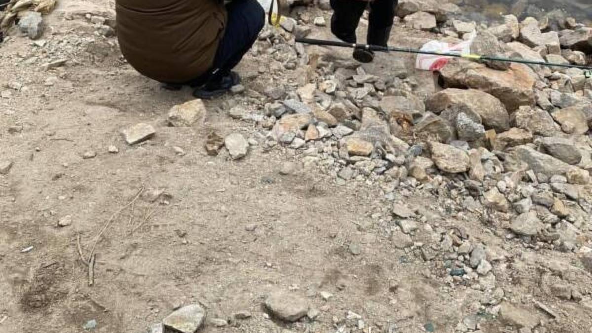 У Запоріжжі ввели заборону на вилов щуки